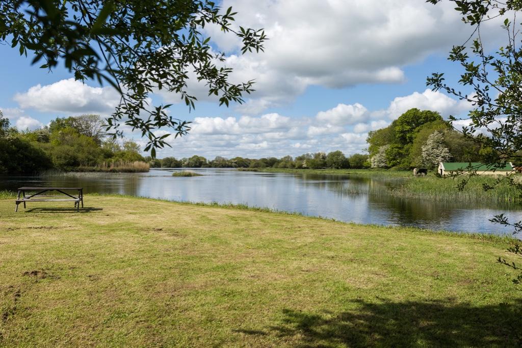 Residential Property For Sale In Galway City Galway