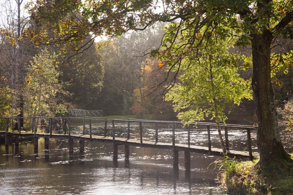 9 bedroom house for sale in Abbeyleix, Laois, Ireland
