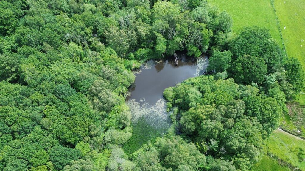 Main image of property: Coed Alltfedw, Aberystwyth, SY23