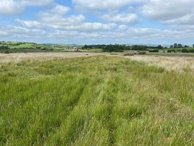 Main image of property: Pontrhydfendigaid, Tregaron, SY25