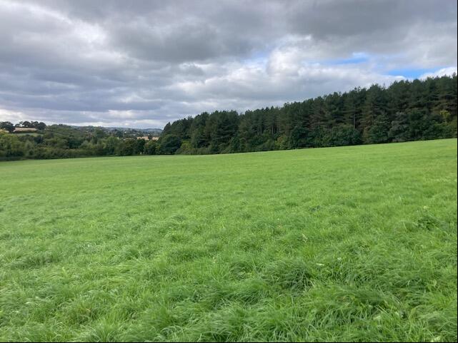 Main image of property: Land off Cawthorne Lane, Cawthorne, Barnsley