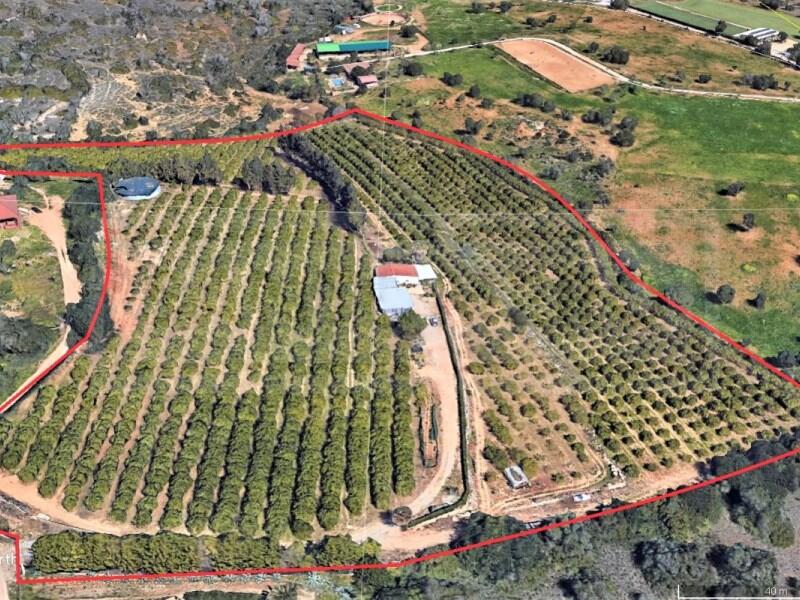 Main image of property: Algarve, Silves