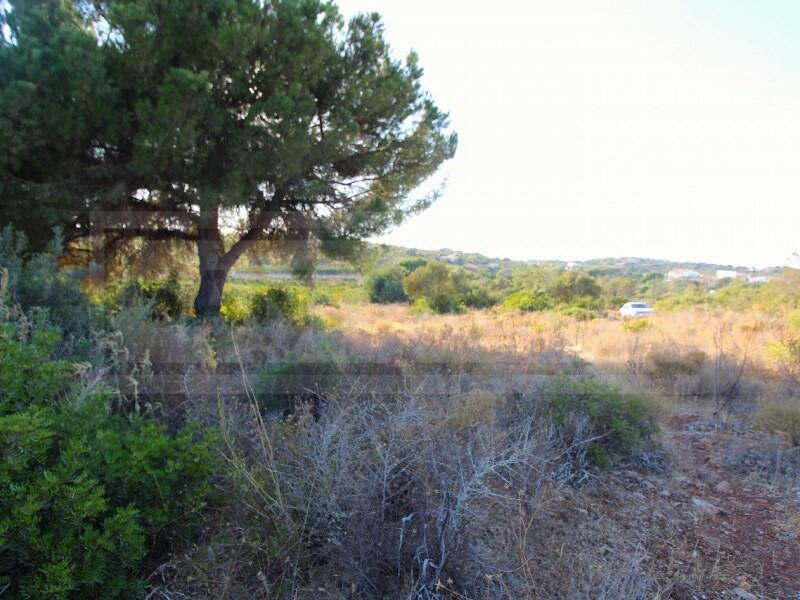 Main image of property: Algarve, Ferreiras