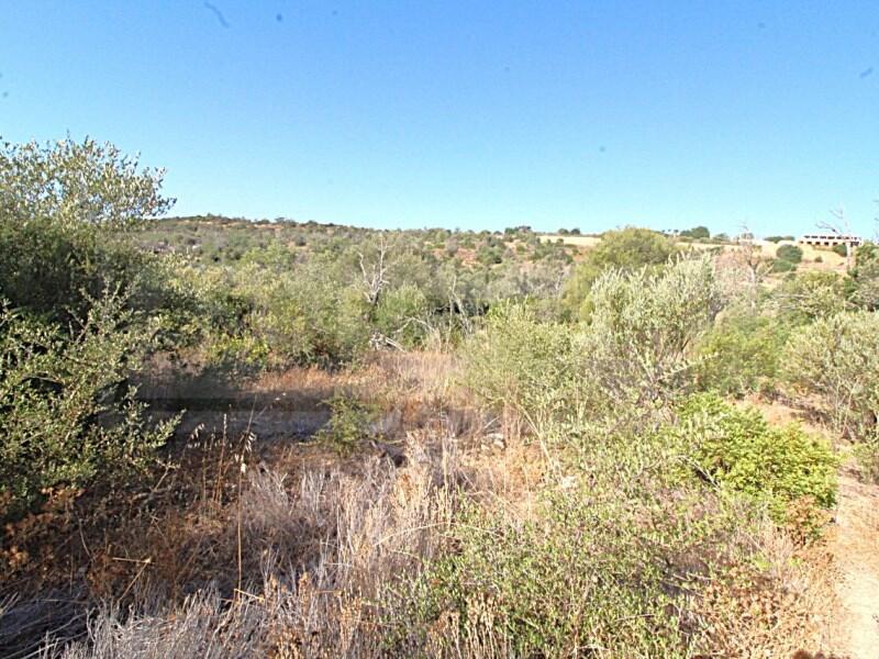 Main image of property: Algarve, Paderne