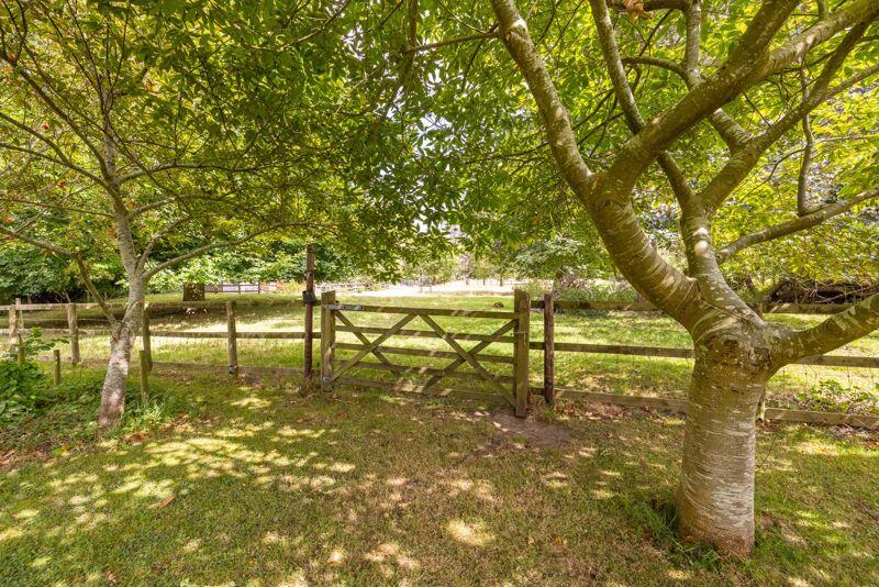 Additional property image - Wonderful period house set in approx 3.50 acres in Sutton Montis