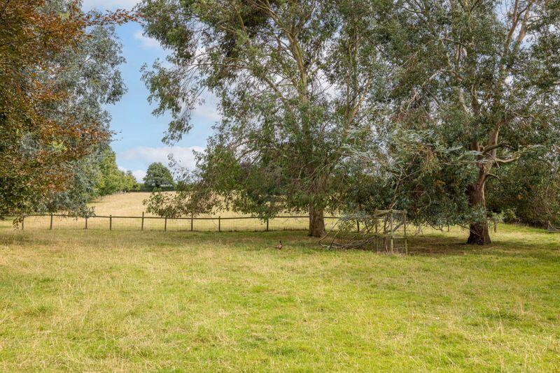 Additional property image - Wonderful period house set in approx 3.50 acres in Sutton Montis