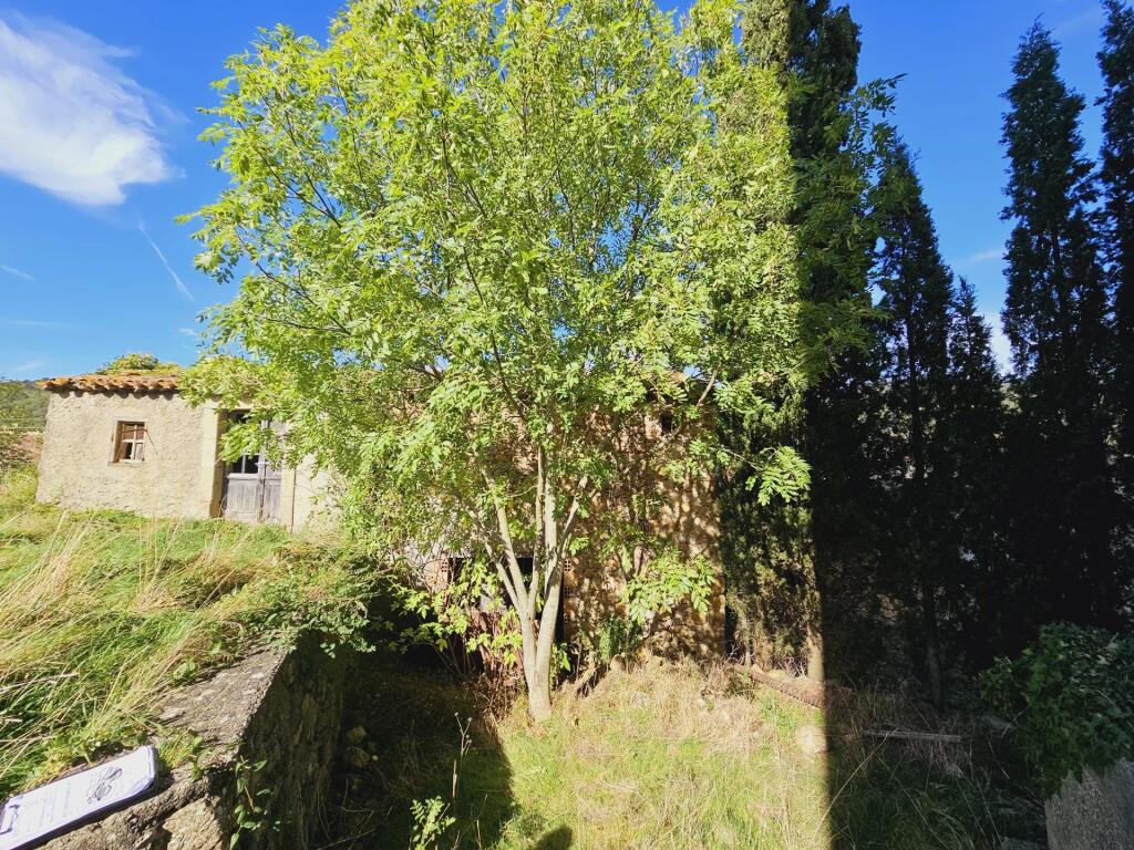 Main image of property: Languedoc-Roussillon, Aude, Bugarach