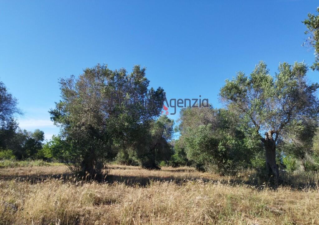 Main image of property: Carovigno, Brindisi, Apulia