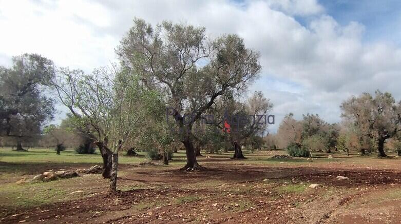Main image of property: San Vito dei Normanni, Brindisi, Apulia
