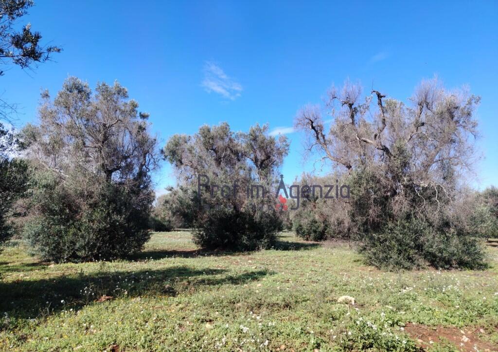 Main image of property: Carovigno, Brindisi, Apulia