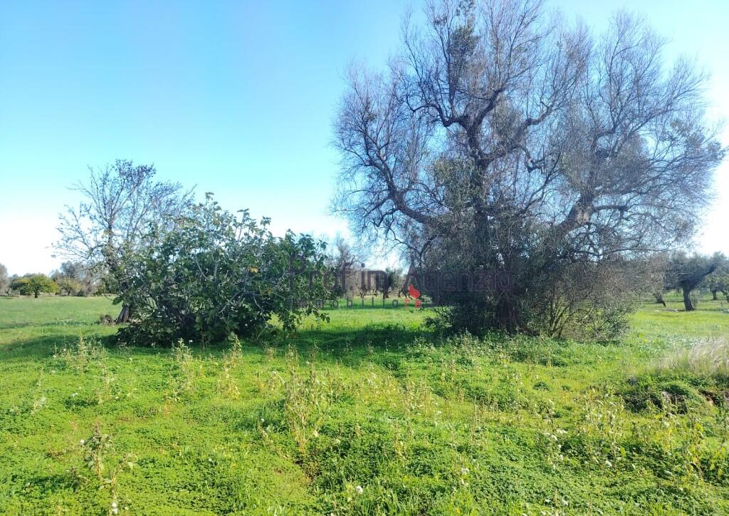 Main image of property: San Vito dei Normanni, Brindisi, Apulia