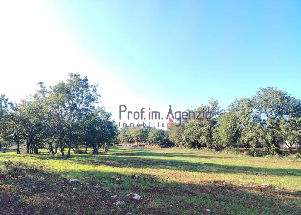 Main image of property: Ostuni, Brindisi, Apulia