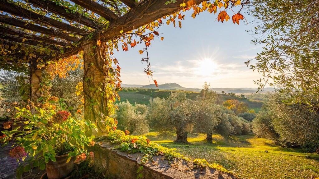 Main image of property: Castèl del Piano, Grosseto, Tuscany
