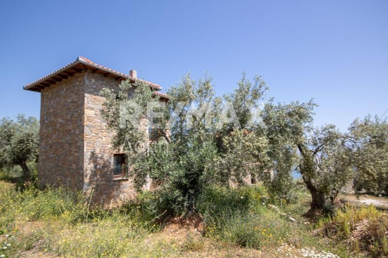 Main image of property: Thessalia, Magnesia, Milies