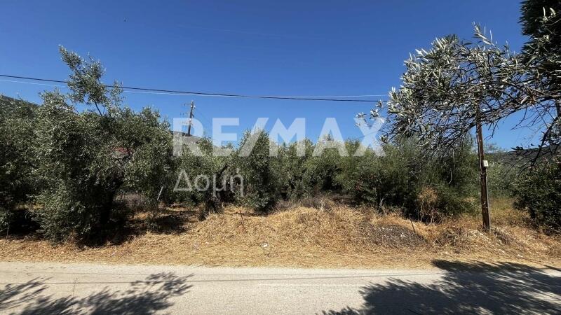 Main image of property: Thessalia, Magnesia, Milies