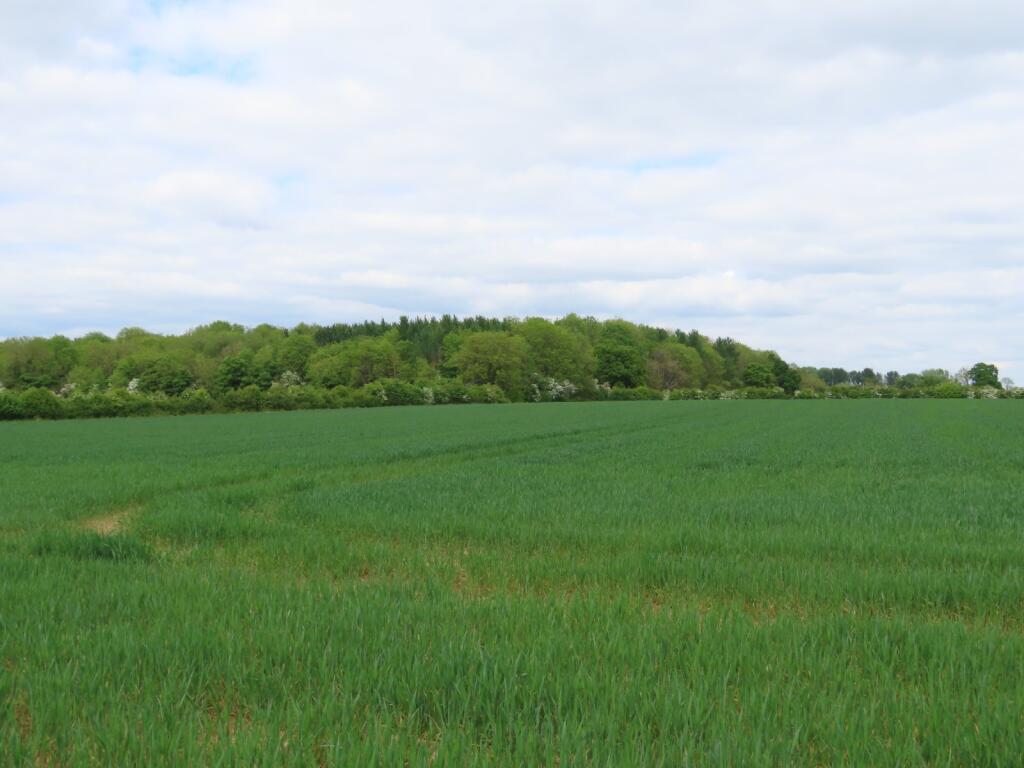 Main image of property: Land At Furzen Leaze Farm, Ewen, Cirencester, Gloucestershire, GL7