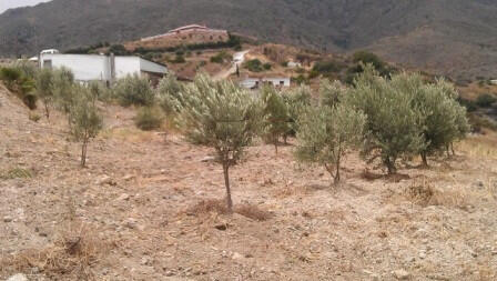 Main image of property: Andalucia, Malaga, Estepona