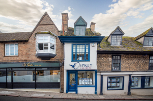 Osprey Property, Stamfordbranch details
