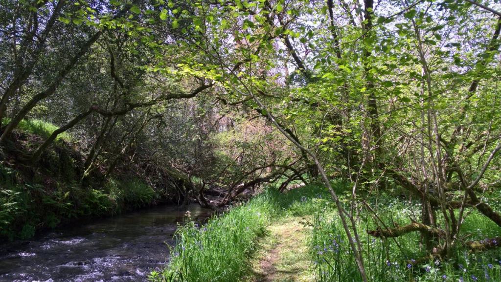 8 bedroom property for sale in Buckland Brewer, Bideford, Devon, EX39