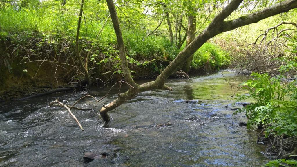 8 bedroom property for sale in Buckland Brewer, Bideford, Devon, EX39