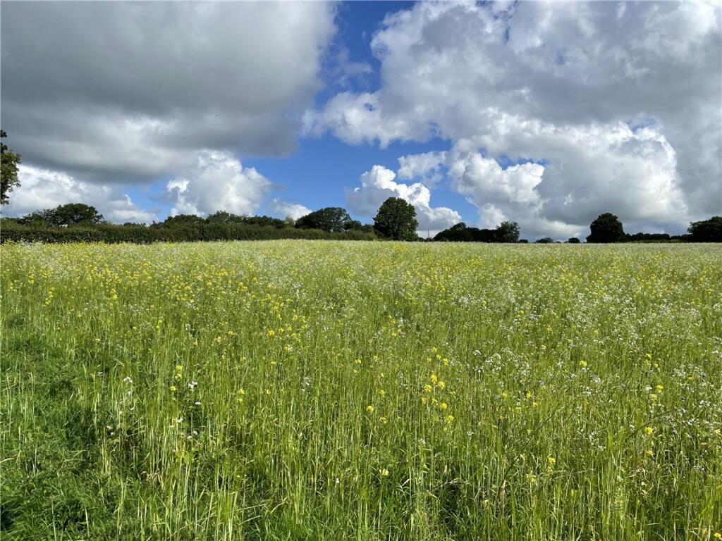 Land for sale in Land At Libbear, Shebbear, Beaworthy, Devon, EX21