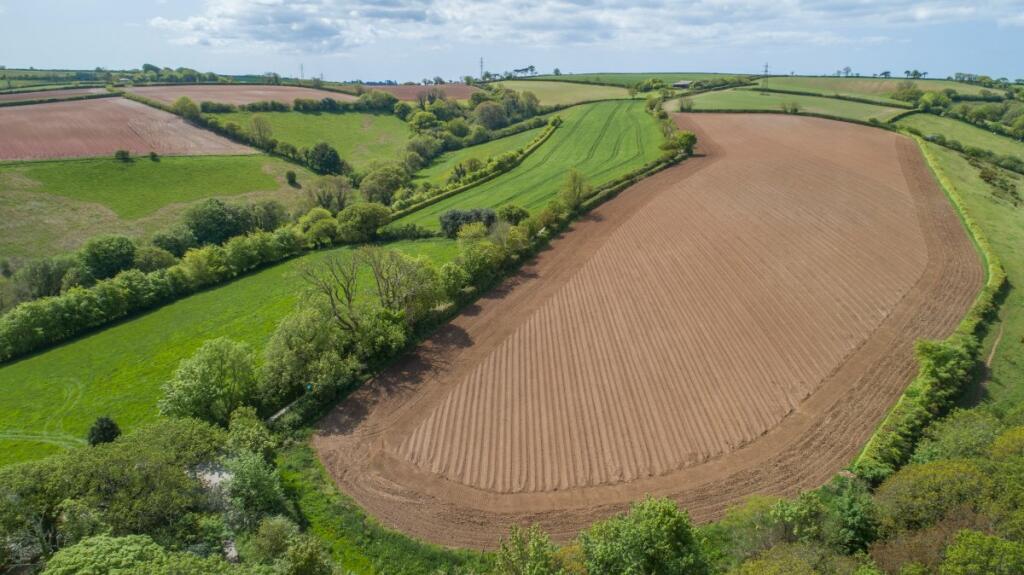 Land for sale in Halwell, Totnes, Devon, TQ9
