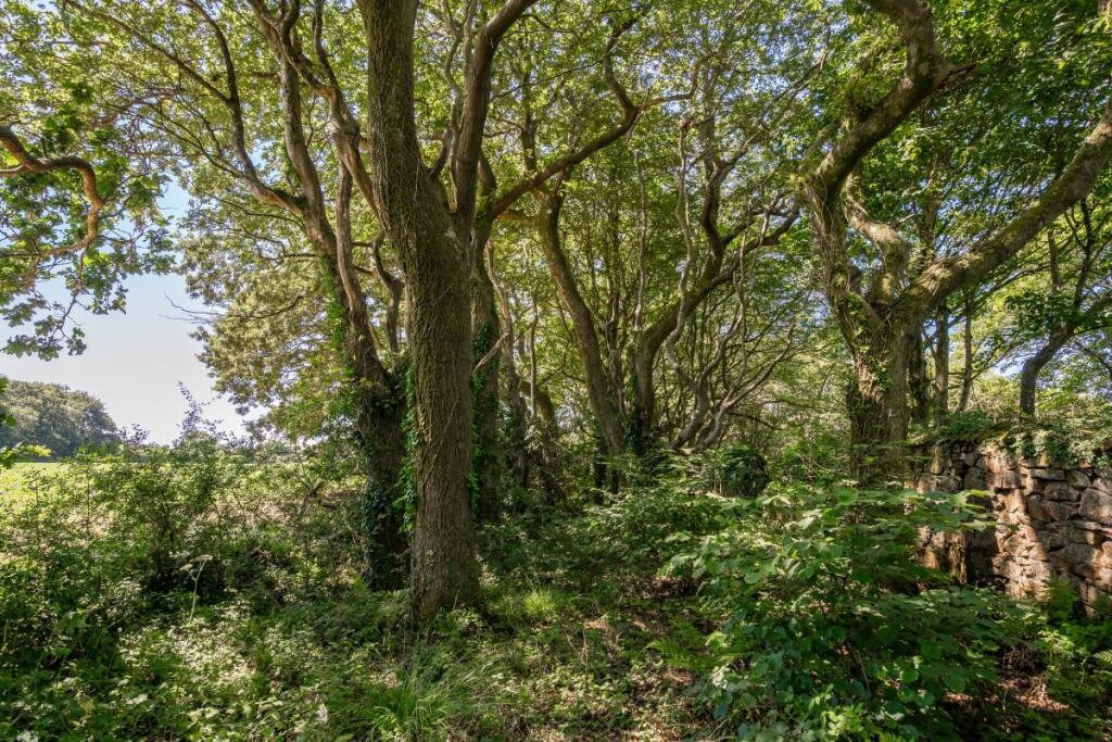 Main image of property: Praze, Camborne, Cornwall, TR14