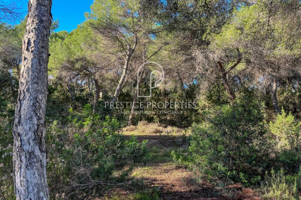 Main image of property: Balearic Islands, Ibiza, Sant Carles De Peralta