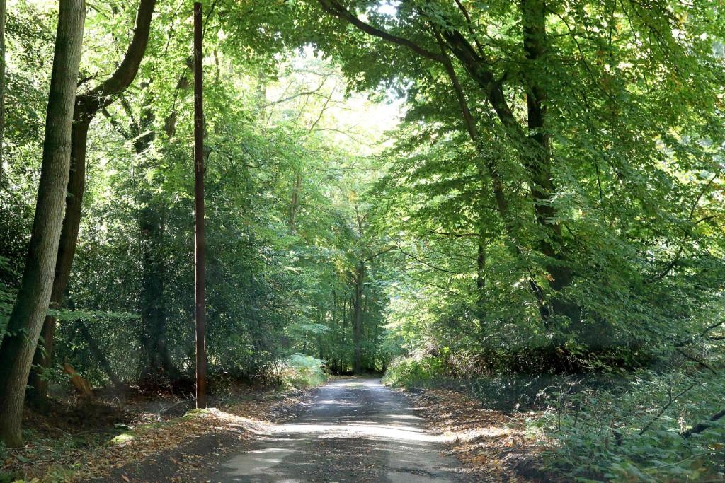 3 bedroom detached house for sale in NUNEY GREEN, Nr Mapledurham