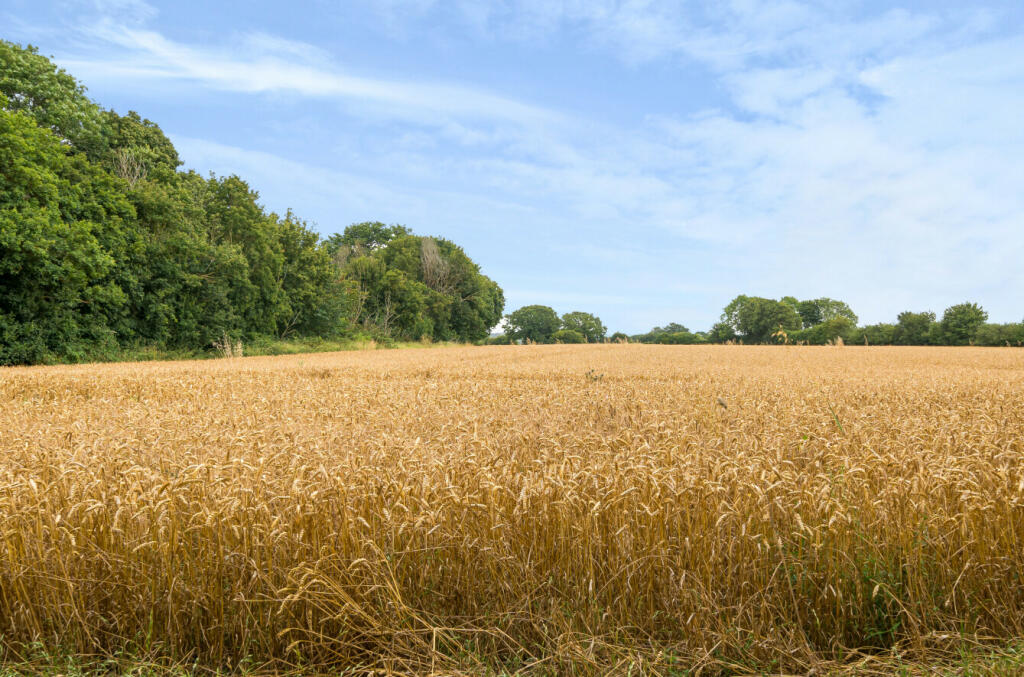 Additional property image - Cloghams Green, High Easter Road, Leaden Roding, Dunmow, CM6