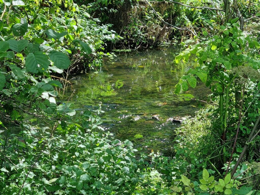 Additional property image - Land at Repton, Near Derby