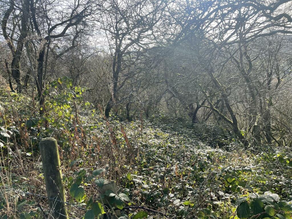 Additional property image - Lot 1, Ible, Grangemill, Matlock