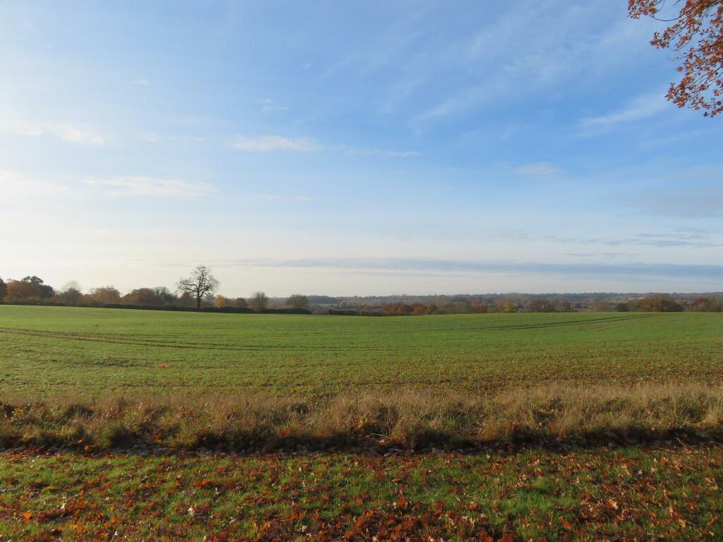 Additional property image - Chelmsford