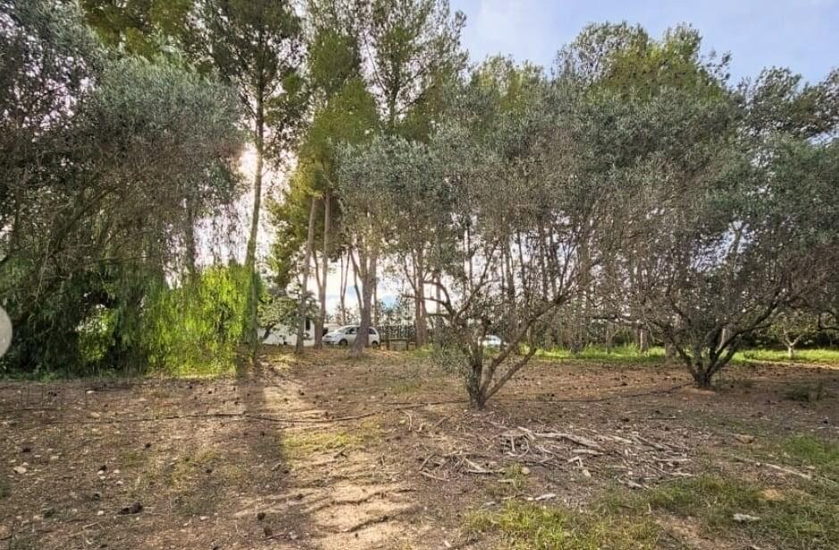 Main image of property: Valencia, Valencia, Pedralba