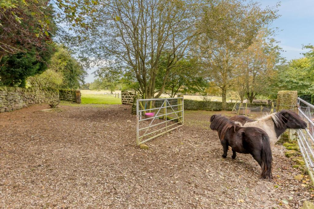 5 bedroom detached house for sale in Rowsley, Matlock, Derbyshire, DE4