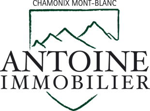 Antoine Immobilier , Rhone Alpesbranch details