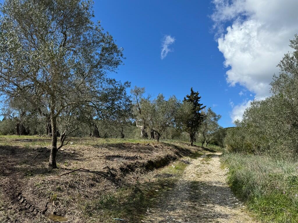Main image of property: Petriti, Corfu, Ionian Islands