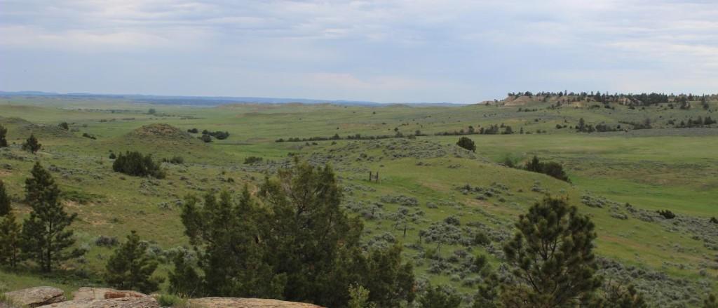 Land for sale in Broadus, Powder River County, Montana, USA