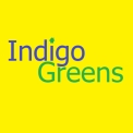 Indigo Greens logo