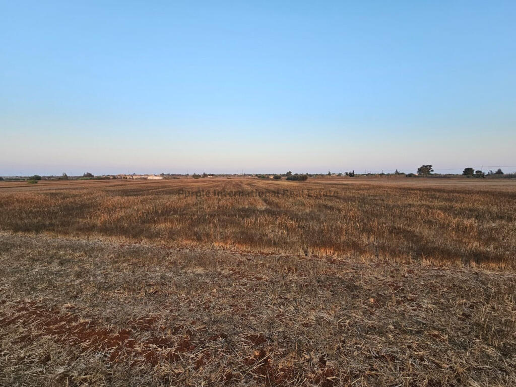 Main image of property: Famagusta, Frenaros