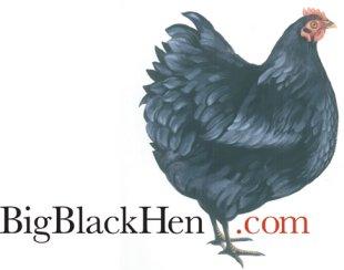 Big Black Hen.com, Hertfordshirebranch details