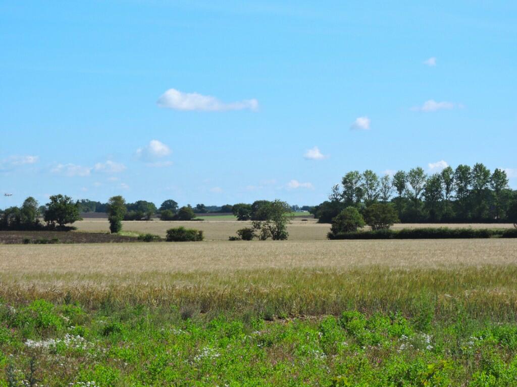 Additional property image - Follyfield Gardens, Stebbing