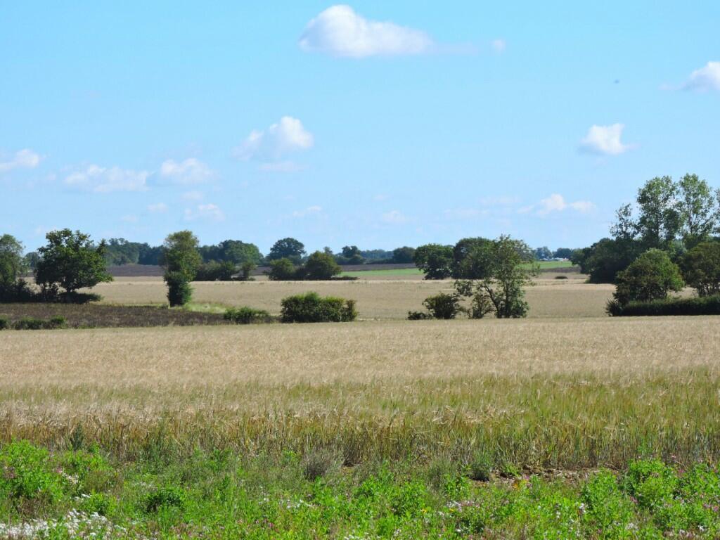Additional property image - Follyfield Gardens, Stebbing