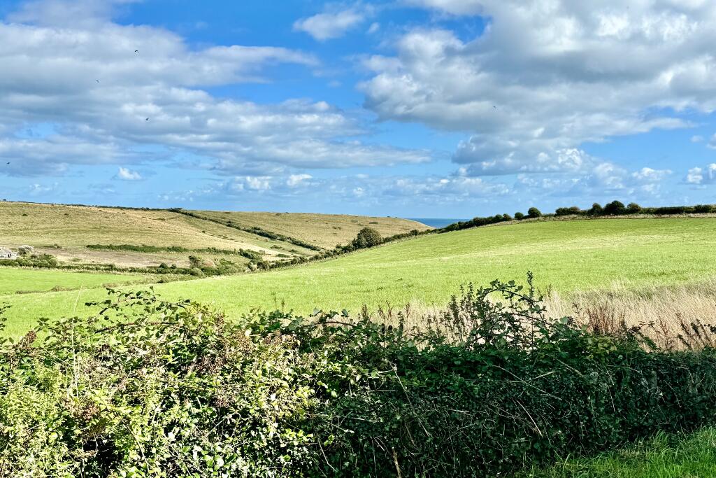 Additional property image - WORTH MATRAVERS