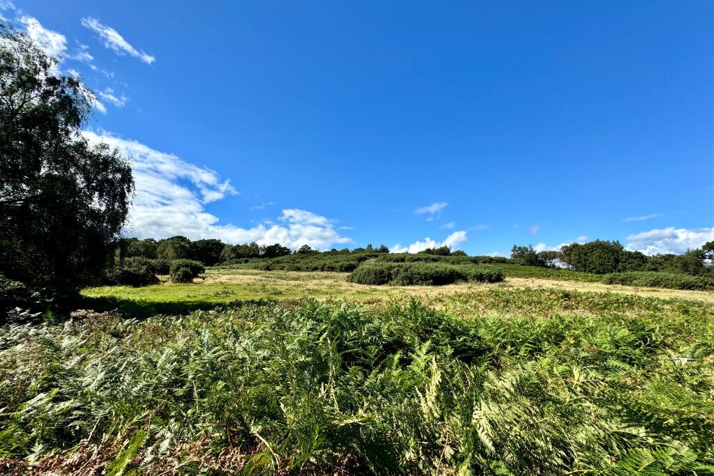 Additional property image - STUDLAND