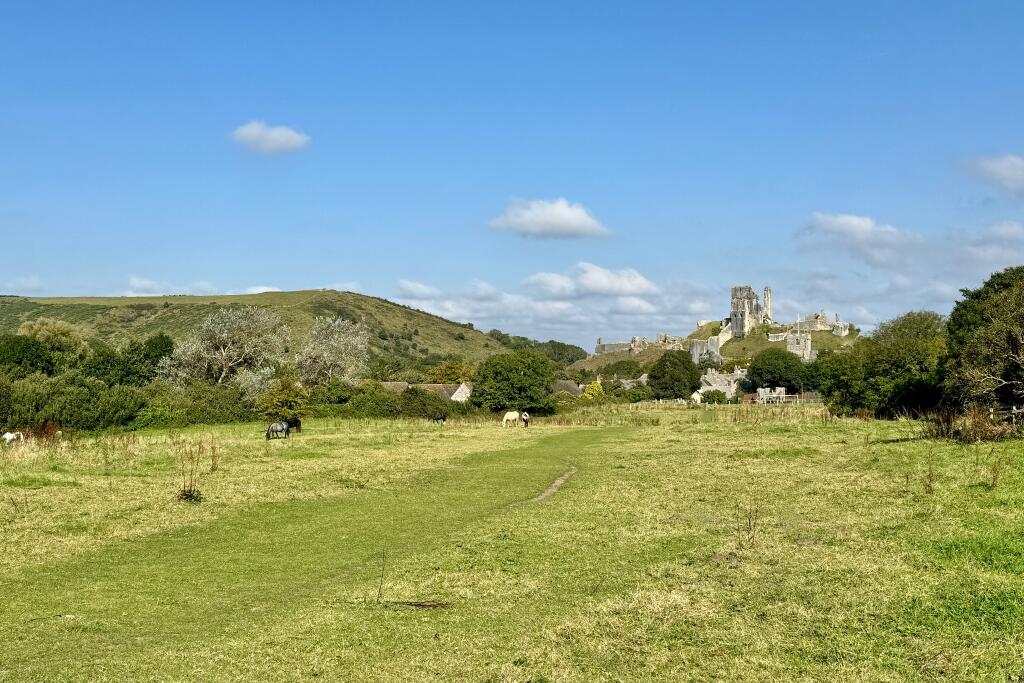 Additional property image - CORFE CASTLE