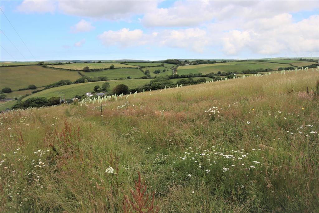 Land for sale in Ash Road, Braunton, EX33