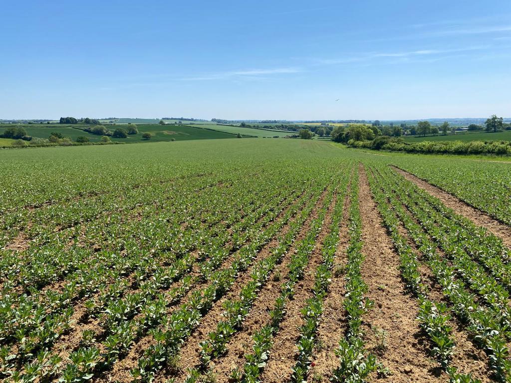 Main image of property: Arable Land South Of Warkworth Road, Middleton Cheney, Banbury, OX17 2JH
