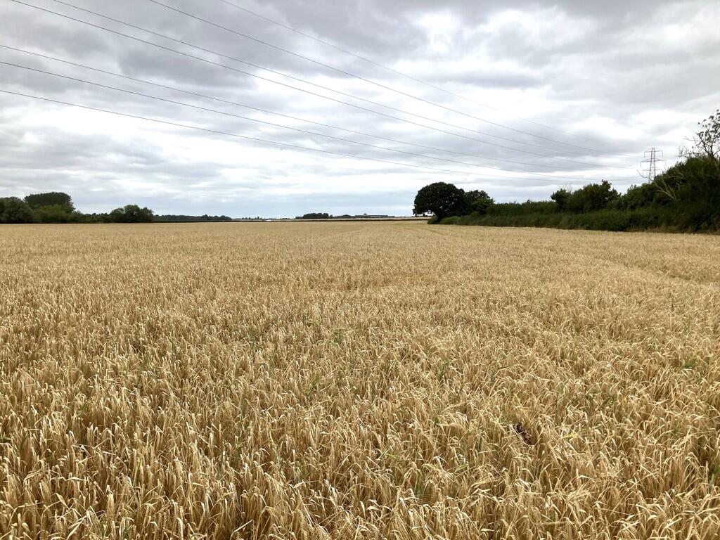 Main image of property: Land At Smeaton Lane, Stretton-under-Fosse, Warwickshire, CV23 0NQ