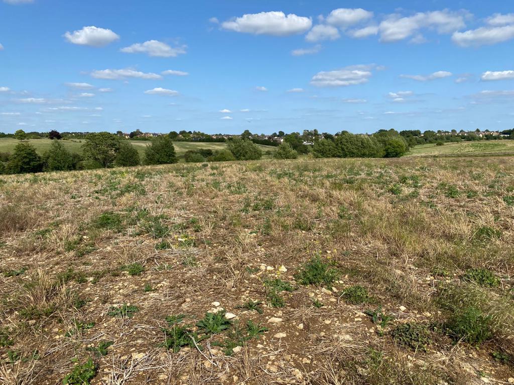 Main image of property: Arable Land & Paddock Land Near Shilton, Burford, Oxfordshire, OX18 4AH